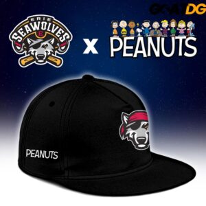 Erie SeaWolves x Peanuts Night Mashup Limited Baseball Jersey 3